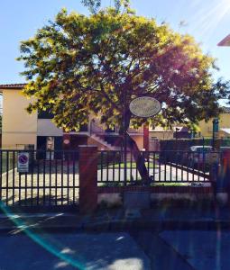 a tree in front of a fence with a sign at Gino's House in Pisa