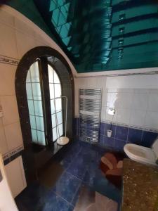 bagno con servizi igienici e soffitto verde di Vila Mirjam a Radovljica