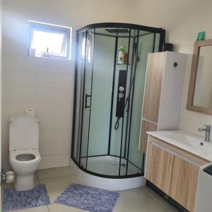 een badkamer met een douche, een toilet en een wastafel bij North Mauritius New-built 2-bedroom Villa with shared pool in Grand Gaube