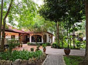 un patio de una casa con árboles y plantas en Chill Inn Lipa Noi Hostel and Beach Cafe, en Koh Samui 