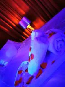 サン・フロランにあるHacienda LA Demeureのベッドルーム1室(紫と赤の照明が付いたベッド1台付)