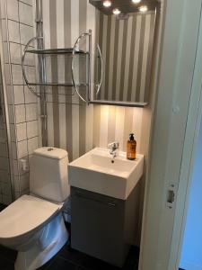 Koupelna v ubytování Björnlokan B&B