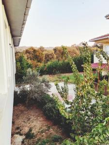 een uitzicht op de tuin vanuit het raam van een huis bij Forest villa- 5 minutes from the airport in Arnavutköy