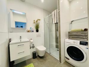 ein Badezimmer mit einem Waschbecken und einer Waschmaschine in der Unterkunft 2 Room Galerie Einliegerwohnung in Rheinstetten, Messe Nähe, Rollstuhlfahrer geeignet in Rheinstetten