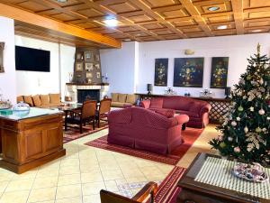 a living room with a christmas tree in it at Marianna's Home Accommodation in Karpenisi