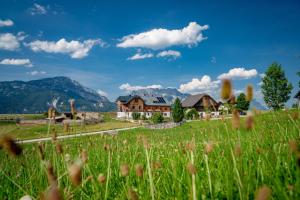 a field of grass with a house in the background at Klausnerhof in Aich