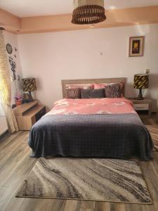 - une chambre avec un lit doté d'une couverture rose et d'un tapis dans l'établissement Casa Doina, à Râșnov