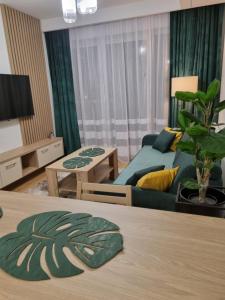 Televízia a/alebo spoločenská miestnosť v ubytovaní Apartament Słoneczny -Ściegiennego (garaż, centrum)