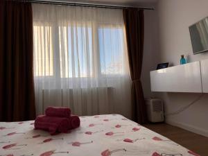 1 dormitorio con 1 cama y ventana grande en Garsoniera Flamingo Garii 4 en Braşov