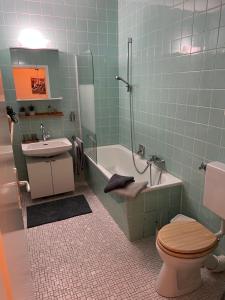La salle de bains est pourvue de toilettes, d'une baignoire et d'un lavabo. dans l'établissement Hubas - Traumhafter Blick auf Bad Harzburg, à Bad Harzburg