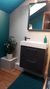 łazienka z umywalką, lustrem i rośliną w obiekcie Arzelier w mieście Jalhay