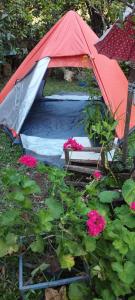 沙佩科的住宿－Pousada Legal，花园内带鲜花的红色帐篷