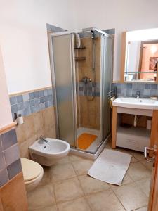 a bathroom with a shower and a toilet and a sink at Apartamento Antunes in Santa Maria