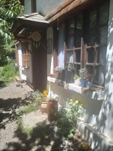 a house with potted plants on the side of it at Casa SMA in San Martín de los Andes