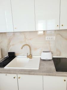 a kitchen counter with a sink and a toaster at Oaza apartmani 1 in Senta
