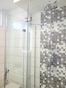 a shower stall with a glass door in a bathroom at Oaza apartmani 1 in Senta