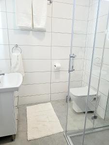 a bathroom with a shower and a toilet and a sink at Oaza apartmani 1 in Senta