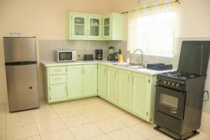 a kitchen with green cabinets and a refrigerator at lovely 2 bedroom Apt 4 warm cosy comfortable in Belmont