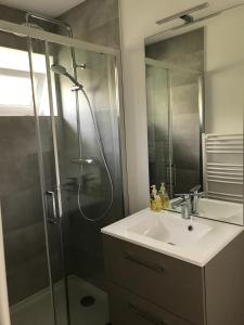 W łazience znajduje się umywalka i prysznic. w obiekcie Un sejour a Cabourg w mieście Cabourg