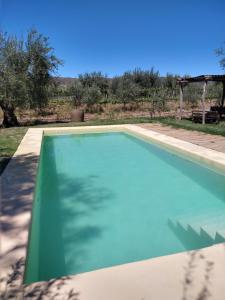 a swimming pool with blue water in a yard at cabaña la olivia in Lunlunta