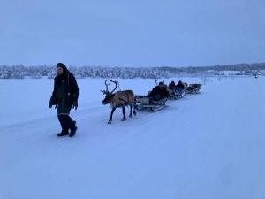 a group of people being pulled by a reindeer sleigh at Kuttainen Lodge in Karesuando