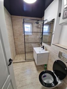 ein Bad mit einem schwarzen WC und einem Waschbecken in der Unterkunft Diamonds House 2 in Lupeni