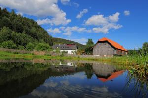 a barn sitting next to a body of water at Eco tourist farm Mikl in Prevalje