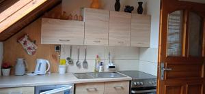 a kitchen with a sink and wooden cabinets at Chalupa Kojetice in Kojetice