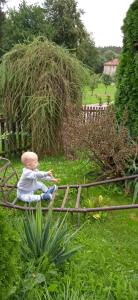 a child sitting on a fence in the grass at Chalupa Kojetice in Kojetice