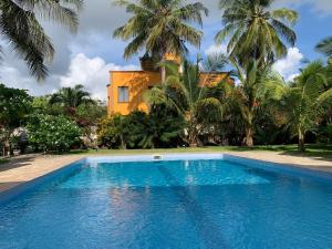 a swimming pool in front of a house with palm trees at Lions Home in Diani Beach