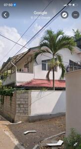 a palm tree in front of a white house at Araliya Suite in Nugegoda