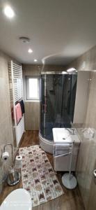 Kúpeľňa v ubytovaní Privat L&L