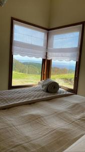 ein Bett in einem Schlafzimmer mit einem großen Fenster in der Unterkunft Cabañas Las Terrazas De Iculpe in Lago Ranco