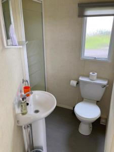 a bathroom with a white toilet and a sink at Ingoldmells - Millfields D13 in Ingoldmells