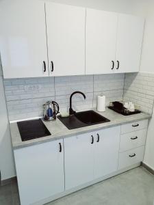 A kitchen or kitchenette at Oaza apartmani 4