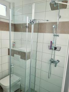 a bathroom with a glass shower with a toilet at Oaza apartmani 4 in Senta