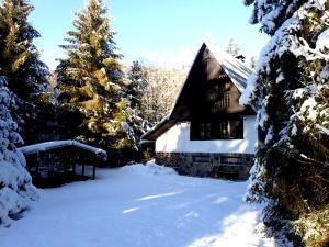a cabin in the snow with snow covered trees at Chata Krpáčovo in Horná Lehota
