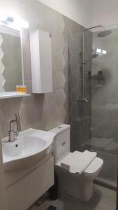 a bathroom with a sink and a toilet and a shower at Hotel Lamish in Mestia +104 photos