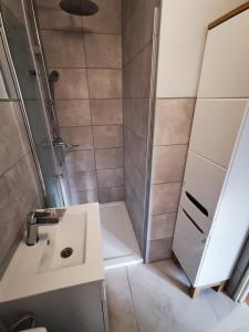 a bathroom with a shower and a sink at Apartament Patryk in Szklarska Poręba