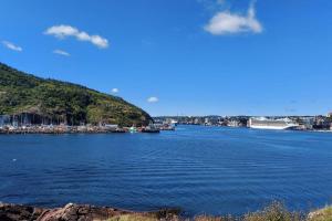 a view of a large body of water with boats at Beautiful & Cozy DT Home With PingPong Table in St. John's