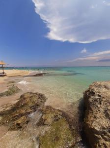 Příroda nedaleko prázdninového domu