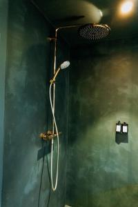 y baño con ducha y pared verde. en Fiertelmeers Boutique B&B, en Ronse