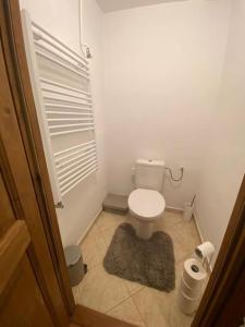 a small bathroom with a toilet and a rug at Maľovaná drevenička v Čičmanoch in Čičmany
