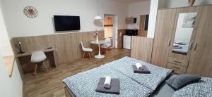 TV a/nebo společenská místnost v ubytování Apartmán BON