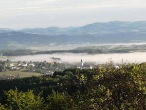 a view of a town with fog in the valley at Ferienwohnung Lucy am Lonitzberg in Steinakirchen am Forst