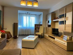 a living room with a couch and a tv at Central Cosy Apart Oradea in Oradea