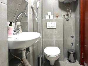 un piccolo bagno con lavandino e servizi igienici di HealthyStudio512 Apartments a Kotor (Cattaro) Altre 37 foto