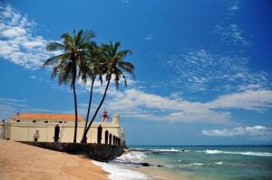 um edifício na praia com duas palmeiras em RALUX house em São Tomé