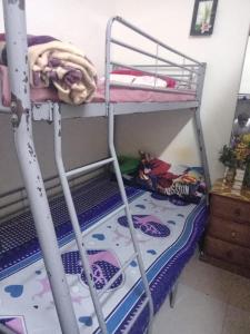 a bunk bed with a ladder and a bunk bedsheet at dormitory bed space for male and female in Sharjah