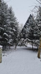 a house is covered in snow with trees at Porumbacu Treehouse in Porumbacu de Sus